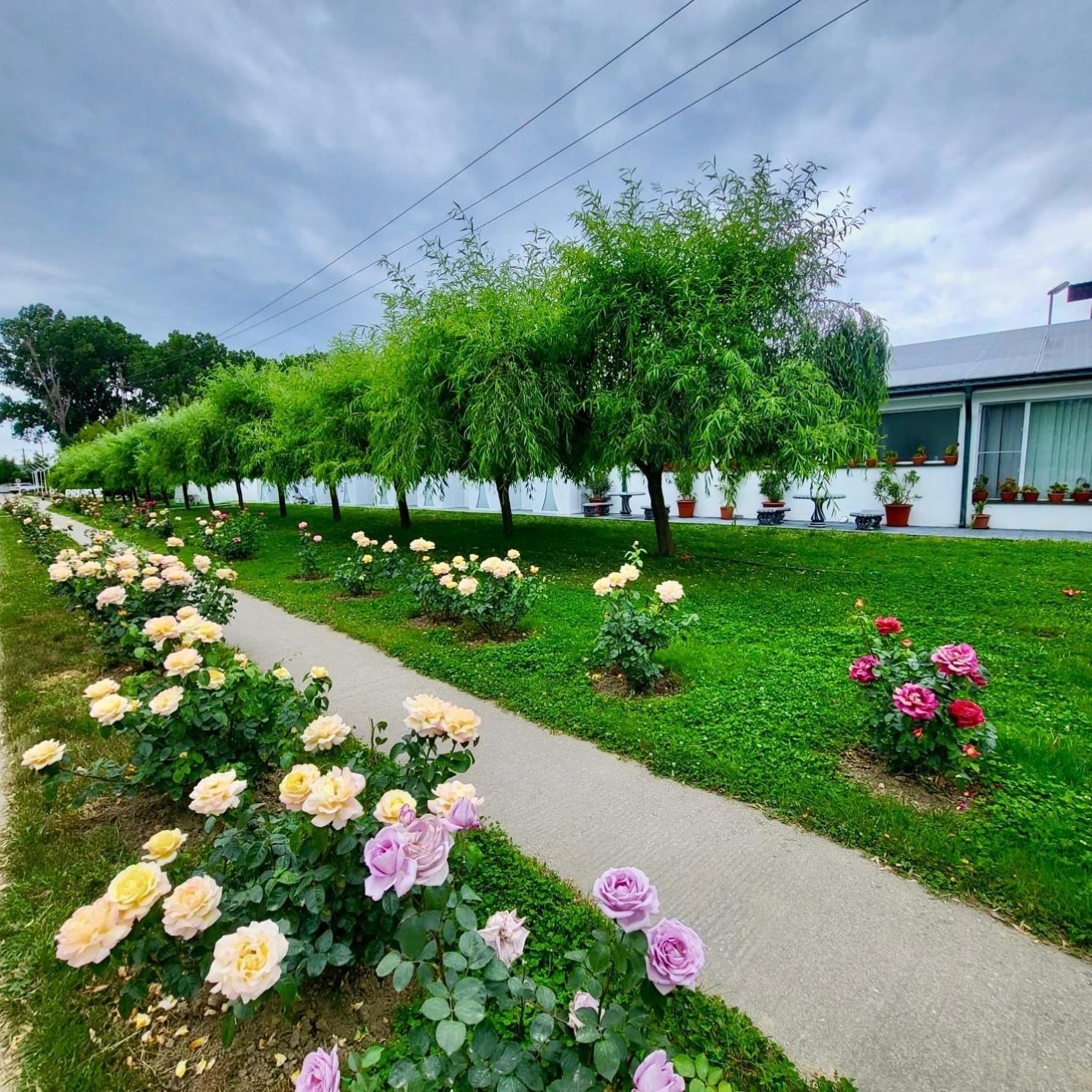 Royal Park Complex Hotel Bascov Bagian luar foto
